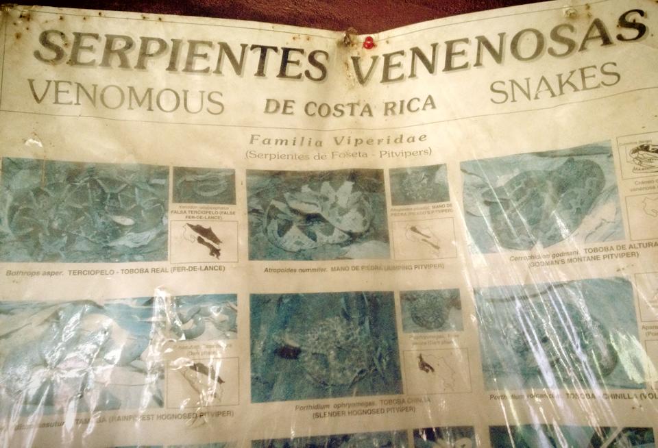 11130126_10152953788453423_9182996843354526813_n