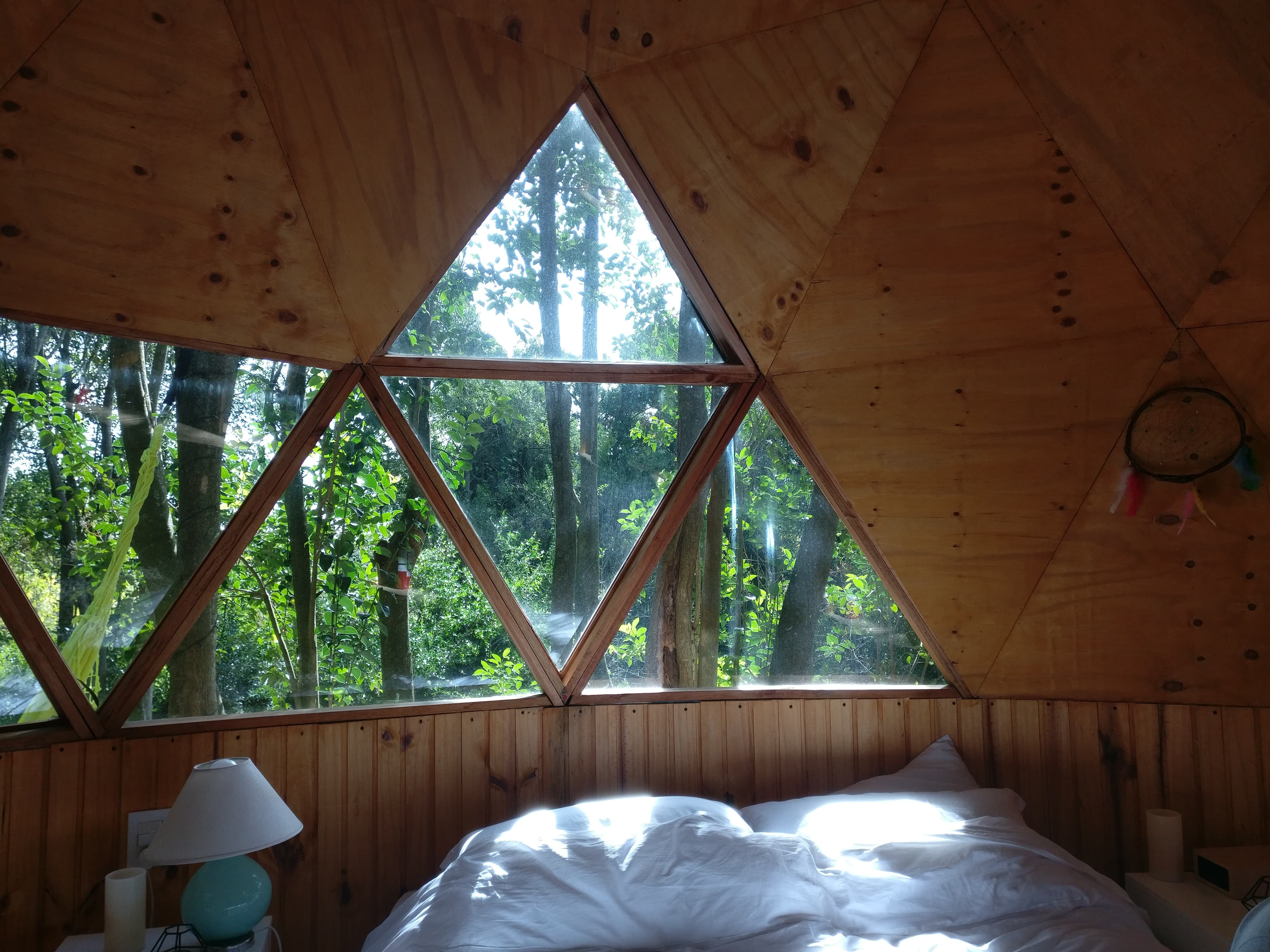 vue dôme bois uruguay