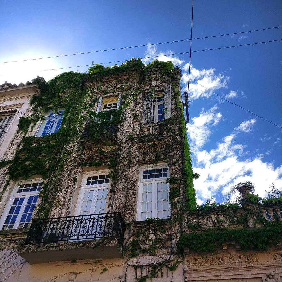 san telmo la bohème buenos aires
