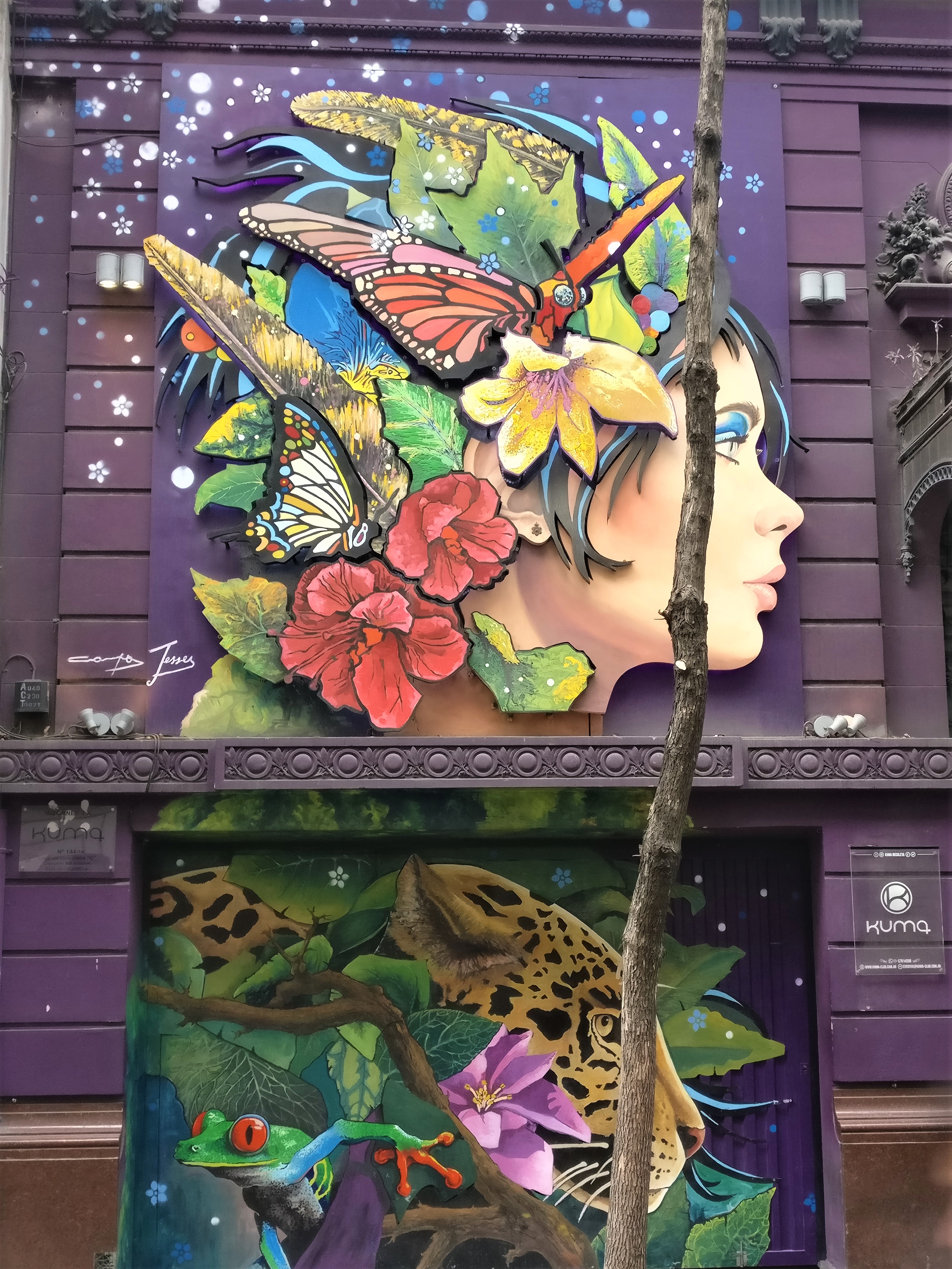 buenos aires argentine street art