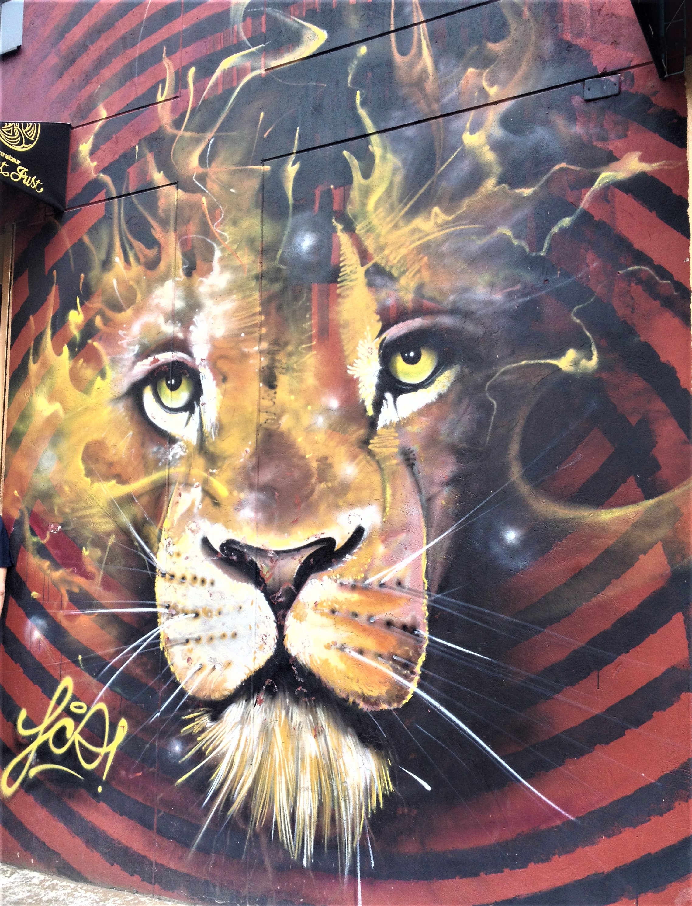 bogota colombie street art graffiti