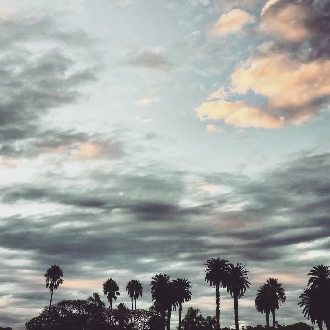 citations nature hommes connexion