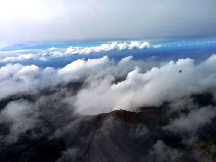 nature connexion hommes citations