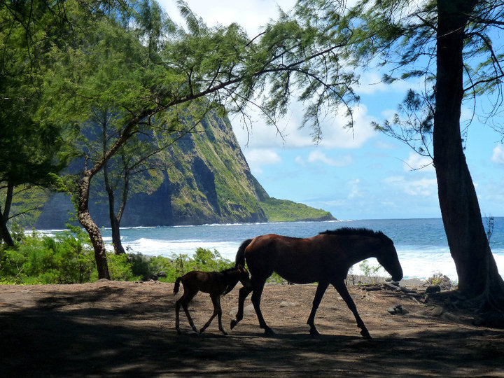 nature connexion hommes citations