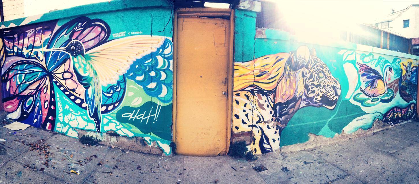 graffiti valparaiso street art chili