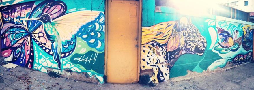 graffiti valparaiso street art chili