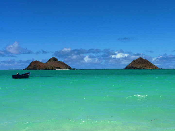 nature connexion hommes citations