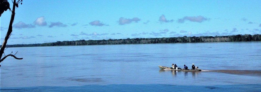 amazonie destruction