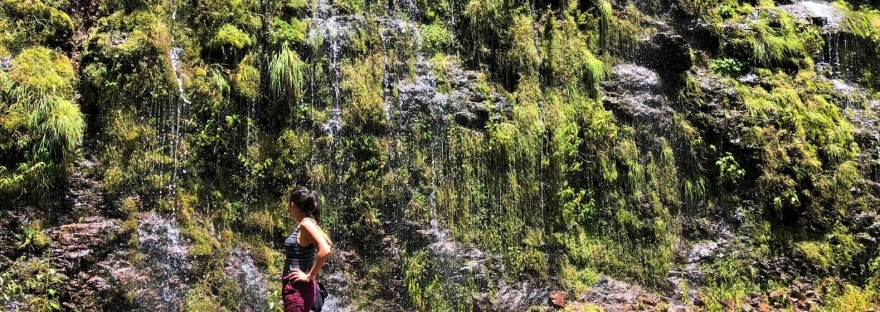 durango mexique que faire que voir amérique latine