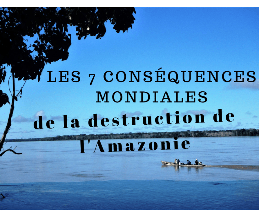 Les 7 conséquences mondiales de la destruction de l'Amazonie - Amérique du Sud