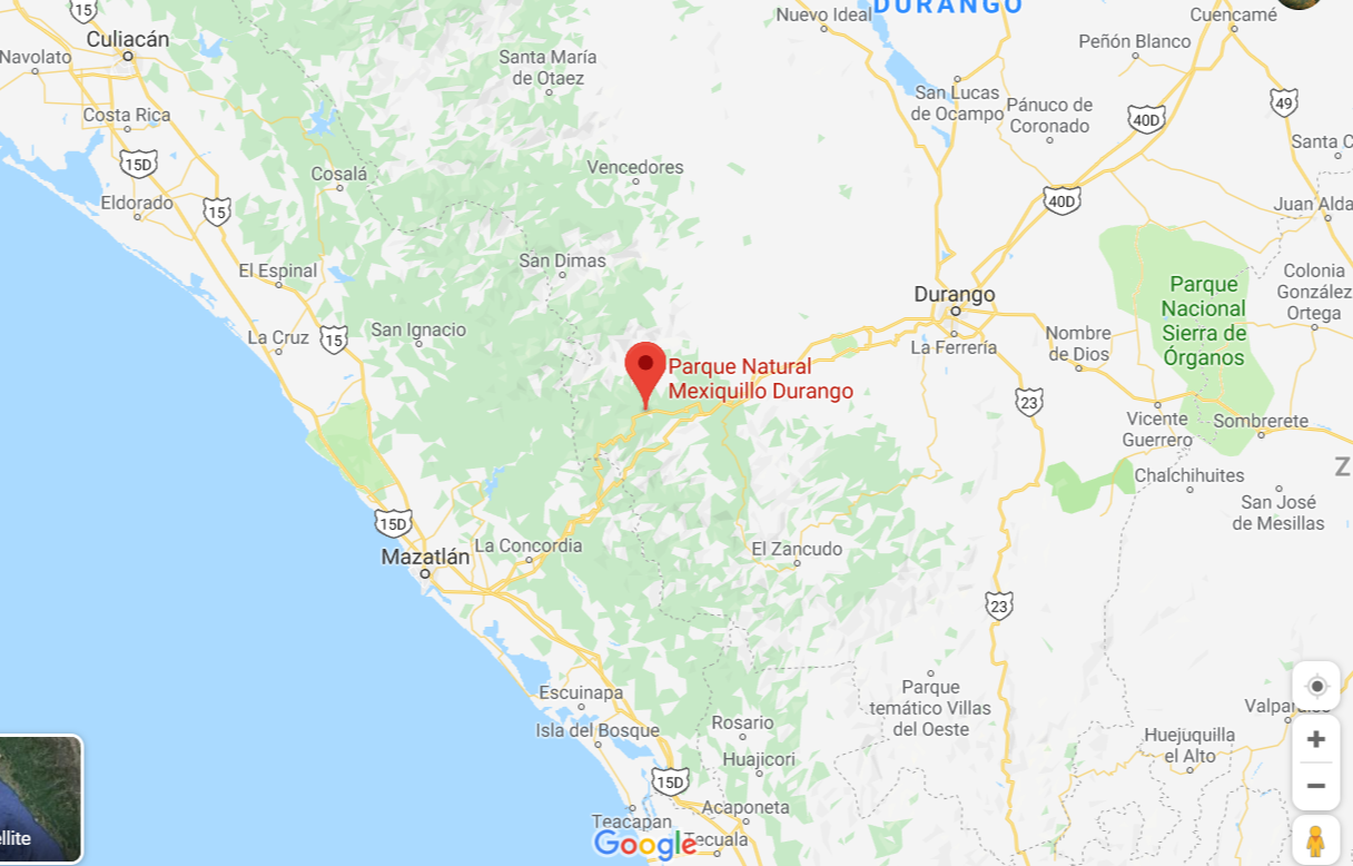 mexiquillo entre durango et mazatlan, mexique