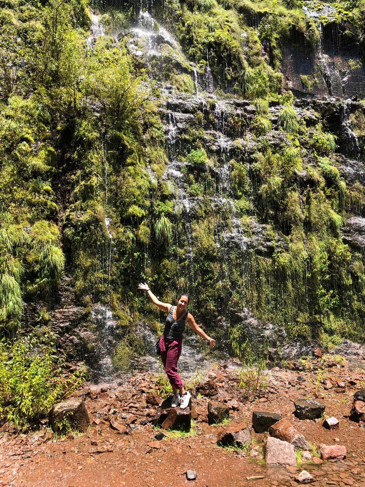 mexiquillo parc durango mexique