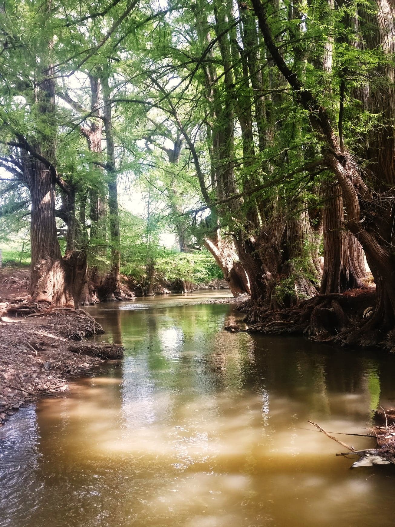 nombre de dios, durango, mexique
