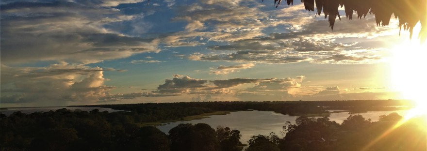 amazonie amérique du sud