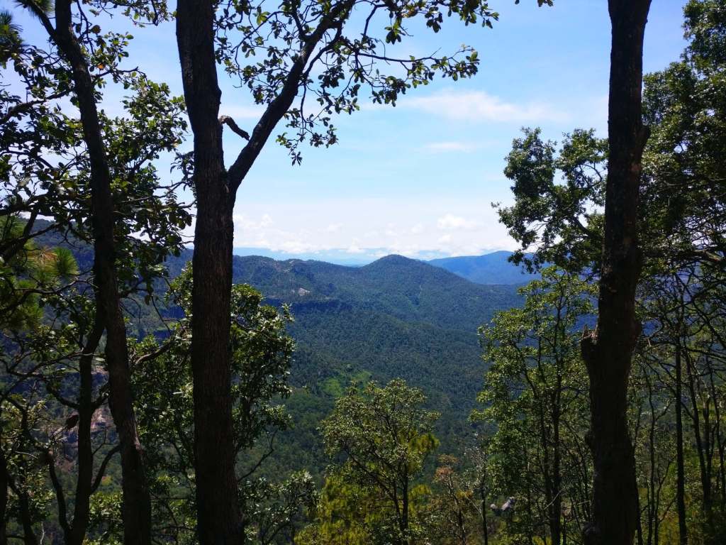 sierra montagnes durango mexique