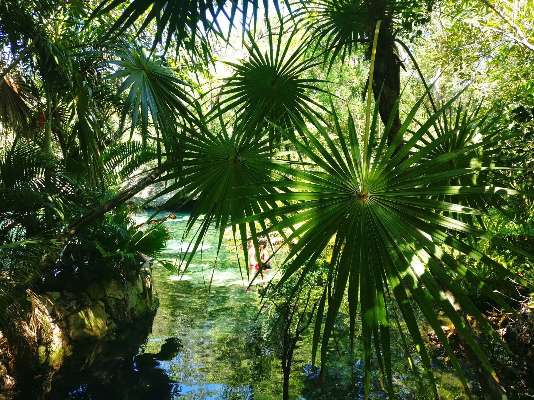 cenote azul tulum mexique