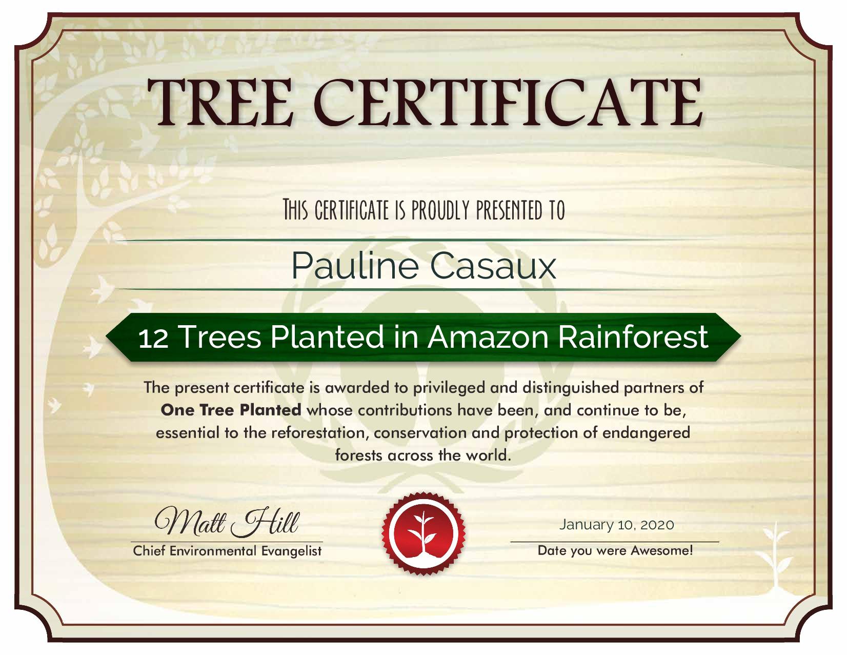 certificat reforestation amazonie planter arbres pérou