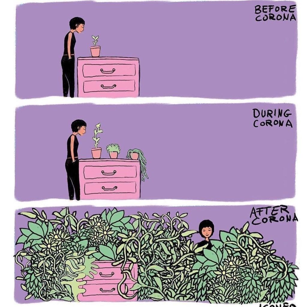 jardinage coronavirus covid drôle