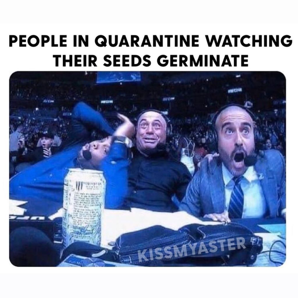 jardinage meme drôle plante jardin image