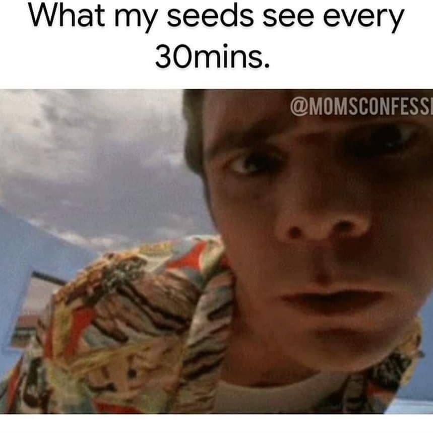 plante jardinage meme drôle image