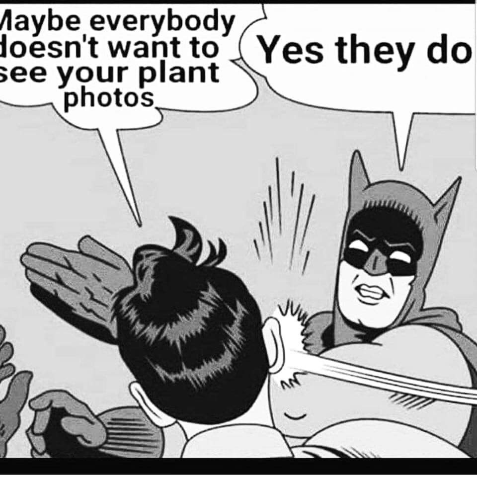 jardinage meme drôle jardin plante