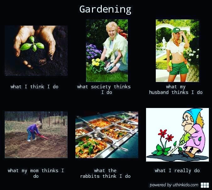 meme jardinage jardin drôle plante
